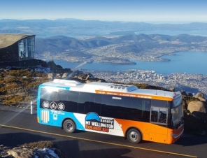 Exterior Bus